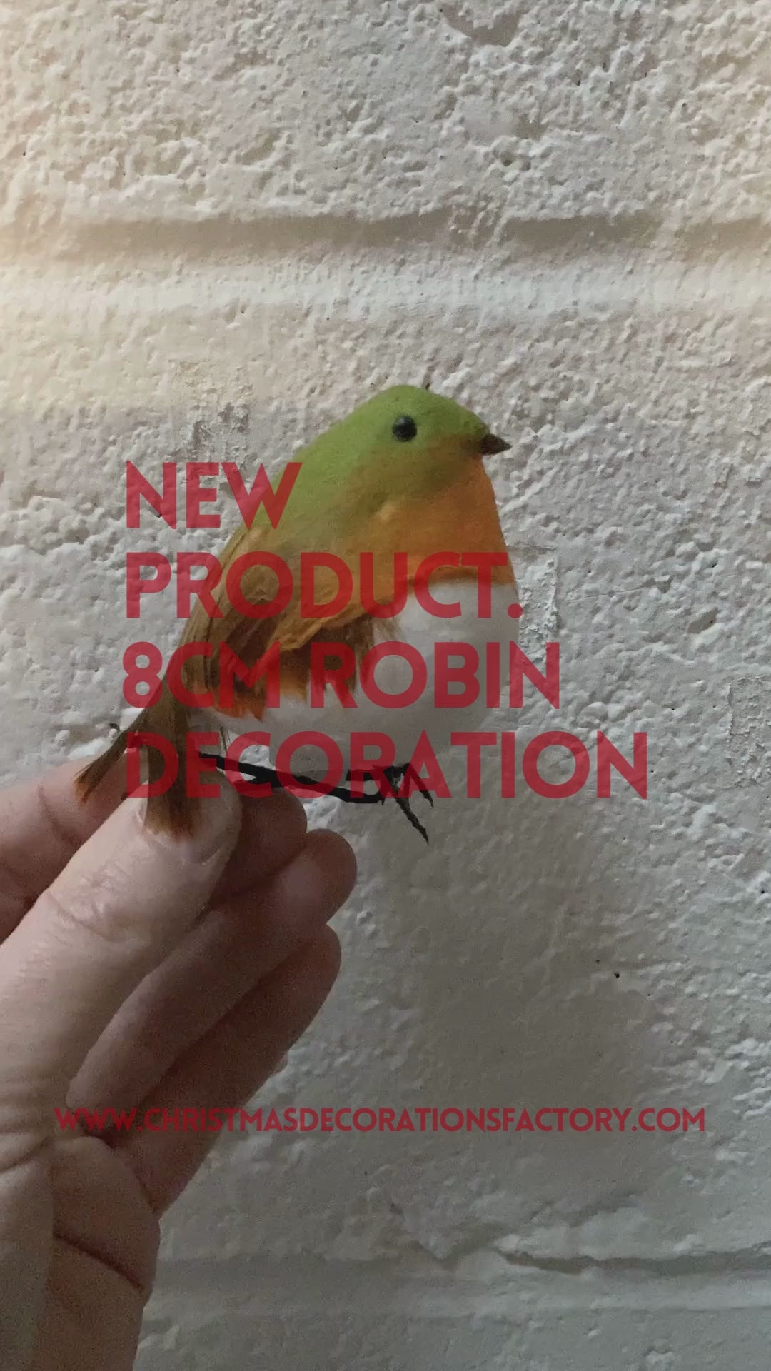 8cm Robin Decoration